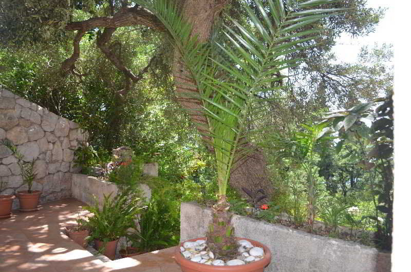 Apartments Martiva Dubrovnik Kültér fotó